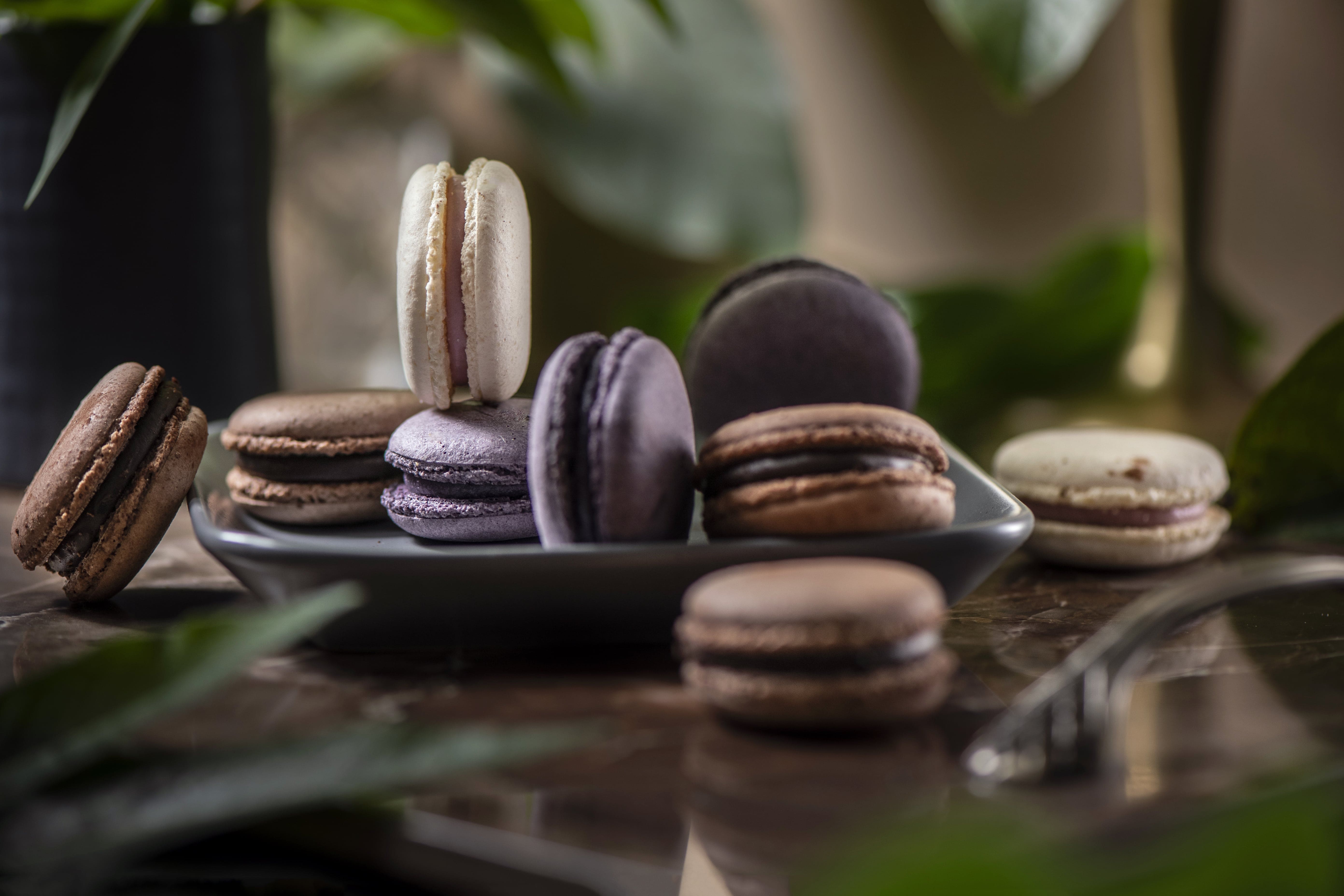 Premium and Exotic macarons